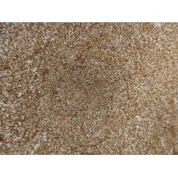 Кандурин "Золоте сяйво", 5гр.